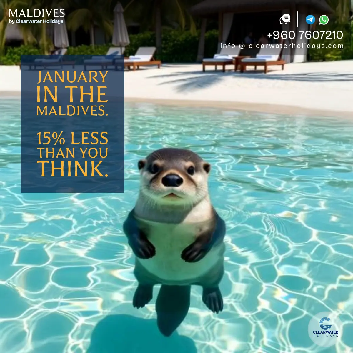 January Escape Value